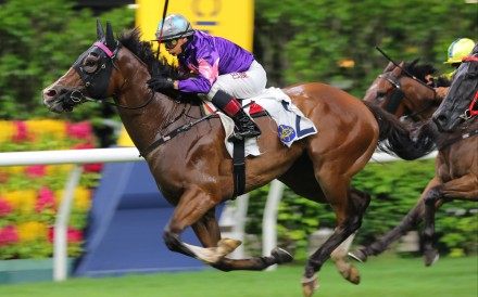 Spicy Gold gets off the mark at Happy Valley in July. Photos: Kenneth Chan