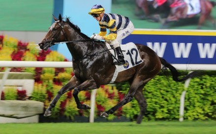 Packing Hermod looks to make it three from three at Sha Tin on Sunday. Photos: Kenneth Chan