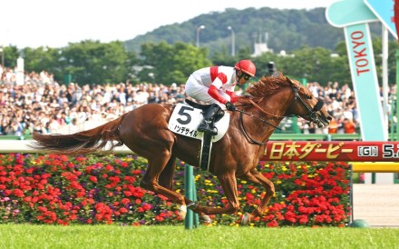 Danon Decile wins the Japanese Derby (2,400m) in May. Photo: JRA