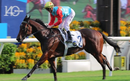 Ka Ying Rising passes the Sha Tin winning post on Sunday. Photos: Kenneth Chan