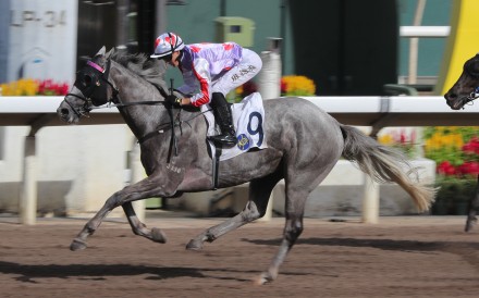 Talents Ambition gets off the mark for Mark Newnham at Sha Tin in June. Photos: Kenneth Chan