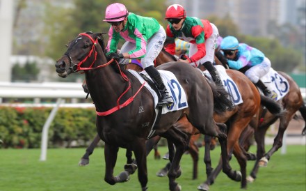 Ben Thompson steers Bundle Award to an impressive win. Photos: Kenneth Chan