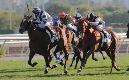 Rubylot (left) salutes under Brenton Avdulla earlier this season. Photo: Kenneth Chan