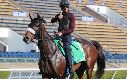 Joao Moreira partners Stellenbosch in Sunday’s Group One Osaka Hai (2,000m). Photos: Kenneth Chan