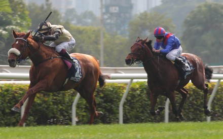 Dubai Honour (right) runs second to Giavellotto in December’s Group One Hong Kong Vase (2,400m). Photo: Kenneth Chan