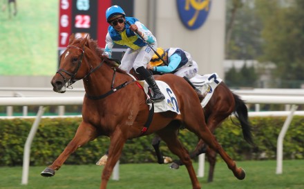 Patch Of Theta wins the Chinese Club Challenge Cup under Karis Teetan. Photos: Kenneth Chan