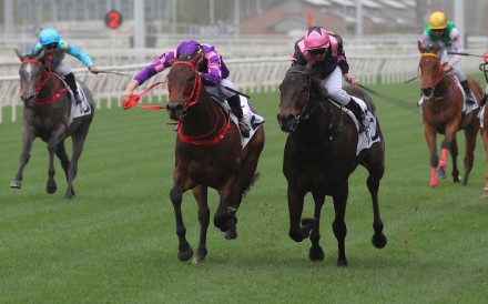The All Out (right) hangs on to beat Quick Money in the first Griffin race of the season. Photos: Kenneth Chan
