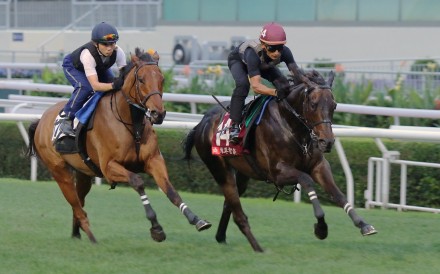 Victor The Winner (right) gallops with Silvery Breeze on the Sha Tin turf. Photos: Kenneth Chan