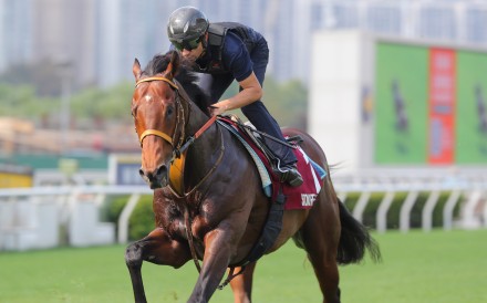 Satono Reve gallops under Joao Moreira at Sha Tin on Thursday morning. Photos: Kenneth Chan