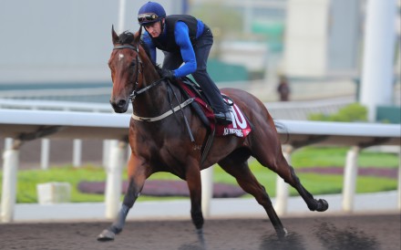 Zac Purton puts Ka Ying Rising through his paces in a dirt gallop earlier this week. Photos: Kenneth Chan