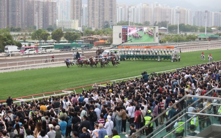 Punters cheer the start of the Group One QE II Cup (2,000m) at Sha Tin on Sunday. Photos: Kenneth Chan
