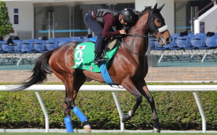 Stellenbosch works under Joao Moreira at Sha Tin in December. Photos: Kenneth Chan