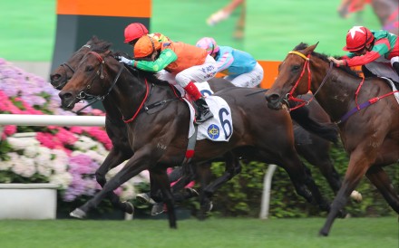 Invincible Shield wins on Champions Day at Sha Tin when ridden by Craig Williams. Photos: Kenneth Chan