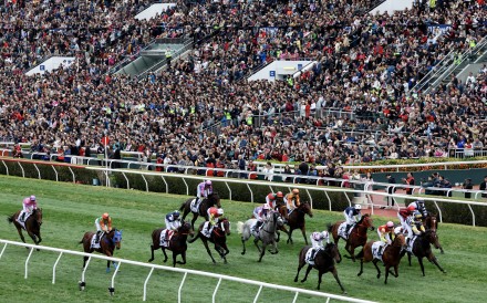 A race at Sha Tin on January 31. Photo: Dickson Lee