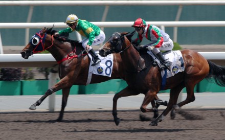 Ellis Wong lifts Solid Shalaa (outside) to a narrow victory last start. Photos: Kenneth Chan