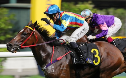 Antoine Hamelin gives Happy Fat Cat a pat after their win last month. Photos: Kenneth Chan