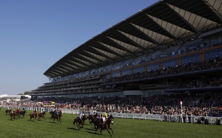 Royal Ascot is one of the biggest simulcast weeks of the year for the Hong Kong Jockey Club. Photos: Reuters