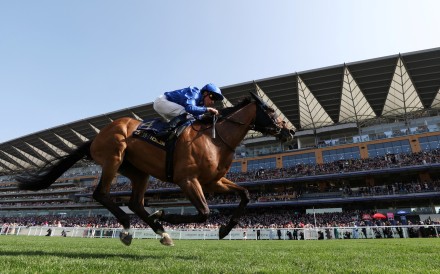 Trawlerman dominates the Ascot Gold Cup under William Buick. Photo: Reuters