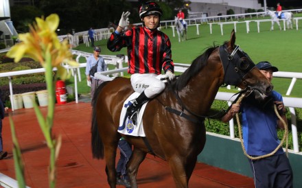Ellis Wong celebrates his first Hong Kong treble at Sha Tin on Saturday. Photos: Kenneth Chan