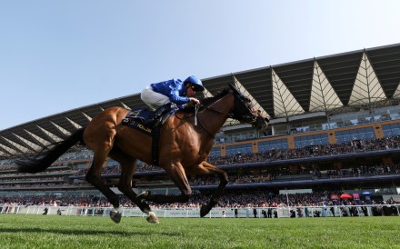 Ombudsman headlines the Jockey Club’s simulcast offering on Saturday. Photo: Reuters