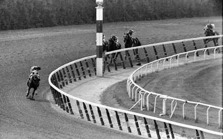 A picture of Ron Turcotte, aboard Secretariat, turning for a look at the field many lengths behind in the 1973 Belmont Stakes has become one of racing’s iconic images. Photo: AP