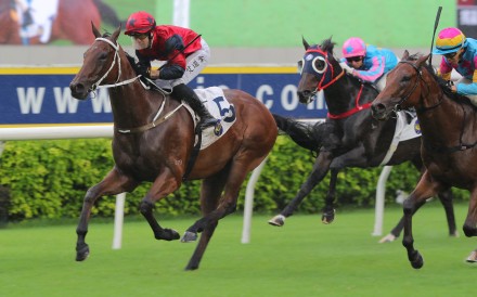 The Golden Scenery wins last year’s Group Three Celebration Cup (1,400m). Photos: Kenneth Chan