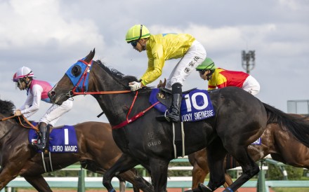 Lucky Sweynesse finishes 11th in the Group One Sprinters Stakes (1,200m) in Japan on Sunday. Photo: HKJC