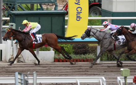 Sing Dragon leads home a Mark Newnham trifecta ahead of Talents Ambition and Mojave Desert. Photos: Kenneth Chan