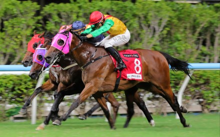 Speed Dragon gets up in the last strides under Vincent Ho. Photo: Kenneth Chan