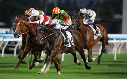 Karis Teetan guides Fortune Boy to an exciting win. Photo: Kenneth Chan