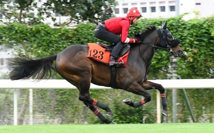 Douglas Whyte gallops Shanwah at Sha Tin last month. Photos: Kenneth Chan