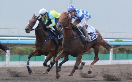 Massive Sovereign (left) and Snowfield trial at Sha Tin. Photos: Kenneth Chan