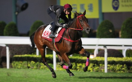 James McDonald gallops Romantic Warrior on the Sha Tin turf on Tuesday morning. Photos: Kenneth Chan