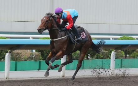 Ka Ying Rising is fighting fit ahead of next weekend’s Group Two Jockey Club Sprint (1,200m). Photos: Kenneth Chan