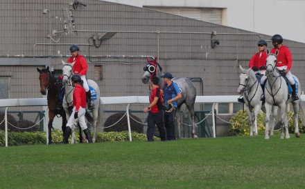 Dreaming Winner (centre) dislodged his rider and galloped loose around the wrong way of the track, forcing race eight to be voided at Sha Tin on Saturday. Photos: Kenneth Chan