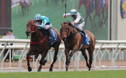 Romantic Warrior (left) outduels Voyage Bubble in last year’s Group One Gold Cup (2,000m) at Sha Tin. Photo: Kenneth Chan