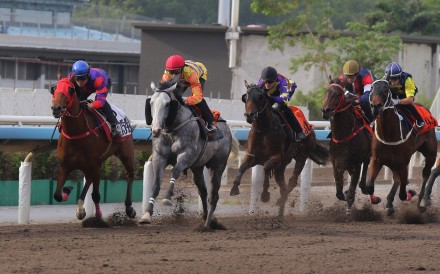 Public Attention (grey) trials at Sha Tin. Photos: Kenneth Chan