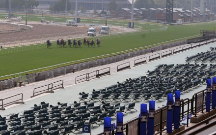 Sha Tin will be closed to spectators this Sunday. Photos: Kenneth Chan