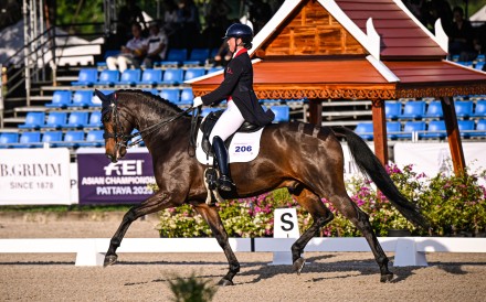 Jacqueline Siu competing in the FEI Asian Championships in Pattaya on her horse Izonik. Photo: Equestrian Federation of Hong Kong, China