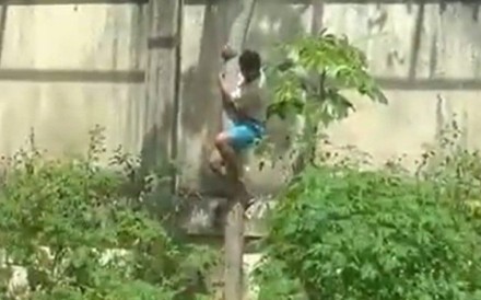 Viral videos of the attack showed zoo visitors watch in shock as the teen climbed down a tree into the enclosure. Photo: X @CPreparado
