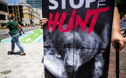 Members of the Animal Rights Foundation of Florida protest against the proposed black bear hunt in Orlando in May. Photo: TNS