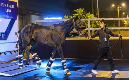 Japanese raider Lord Del Rey arrives in Hong Kong. Photo: HKJC