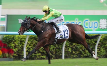 Tomodachi Kokoroe has made a remarkable rise from winning in Far North Queensland to Sha Tin. Photo: Kenneth Chan
