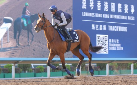 Docklands gallops on the Sha Tin dirt ahead of Sunday’s Hong Kong Mile. Photos: Kenneth Chan