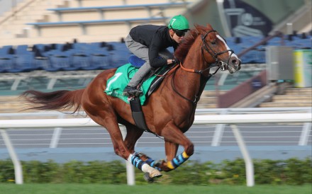 Urban Chic blazes his way up the Sha Tin straight. Photos: Kenneth Chan