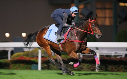 Romantic Warrior gallops on the Sha Tin turf on Tuesday morning. Photos: Kenneth Chan