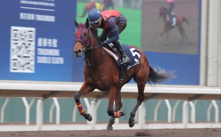 Embroidery gallops on the Sha Tin dirt earlier this week. Photos: Kenneth Chan