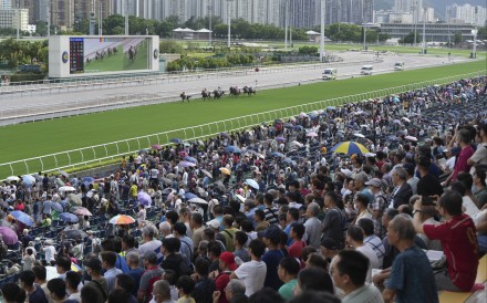 Sha Tin will be heaving on Sunday. Photo: Kenneth Chan