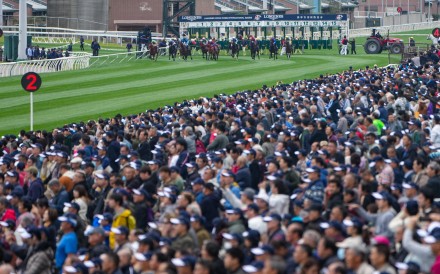 Fans watch the Longines Hong Kong Vase at Sha Tin. Photo: Sam Tsang