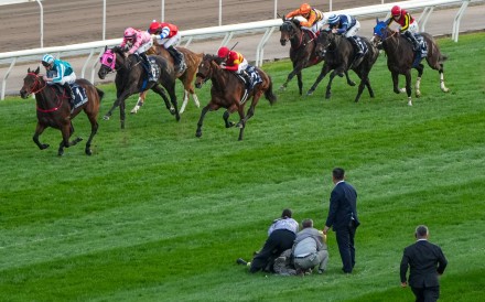The track invader is held still while the Group One Hong Kong Cup field approaches at Sha Tin on Sunday. Photo: Sam Tsang